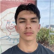 professeur d'anglais en présentiel ou en ligne pour tout âge